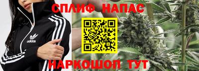 PSILOCYBIN Кулебаки