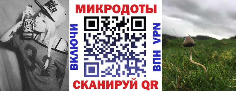 Псилоцибиновые грибы Cubensis  Рубцовск 