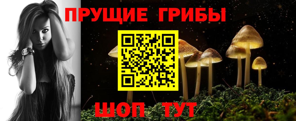 Псилоцибиновые грибы прущие грибы  Вход с VPN  Рубцовск 